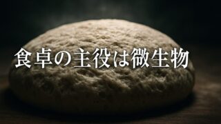 発酵とは何か——微生物が人間の食卓を作った【『人間は料理をする』5/6】