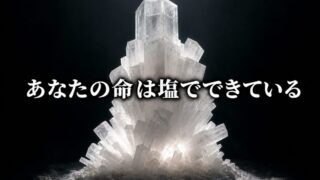 あなたの命は「塩」でできている。4000kmの壁と化学の母【『Material World』2/3】