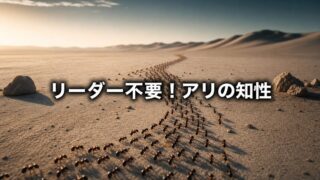 組織の停滞は「リーダー不在」のせい？アリの知性に学ぶ【『トレイルズ』1/3】